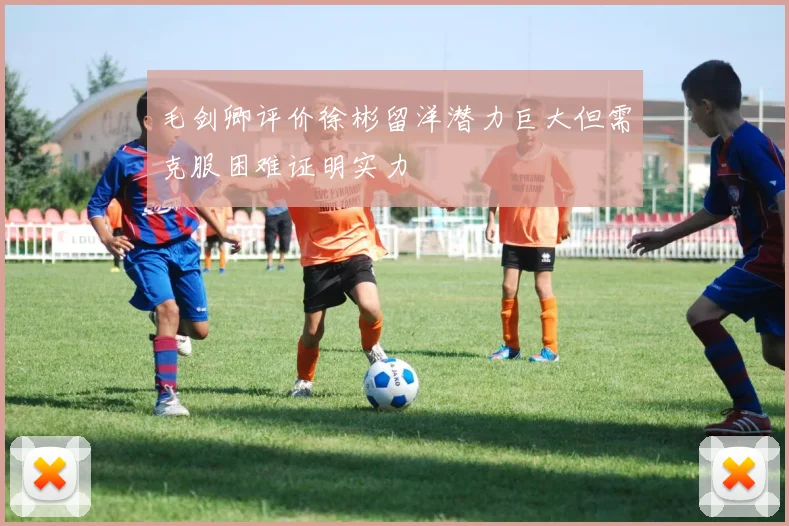 毛剑卿评价徐彬留洋潜力巨大但需克服困难证明实力