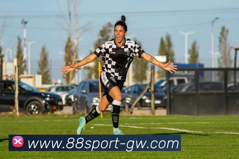 88体育平台生态图