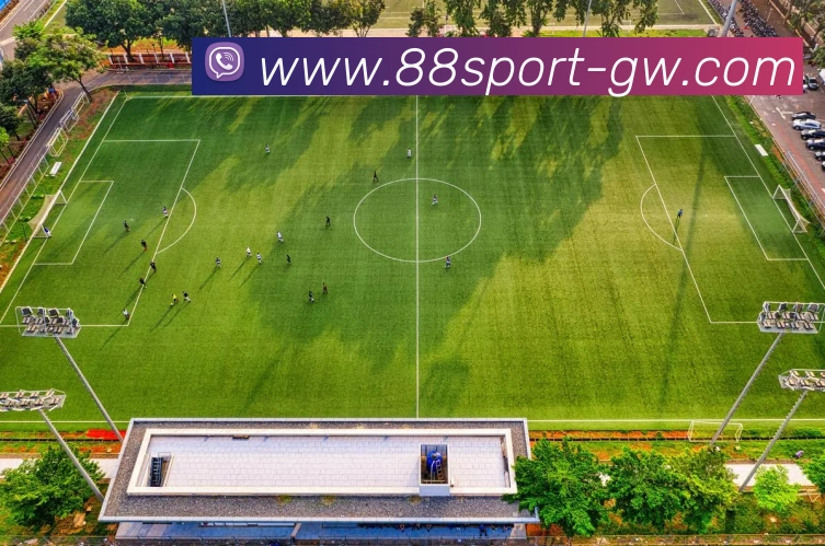 数据防护可视化