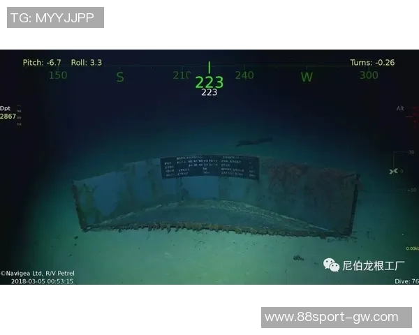 保罗的故事：从个人视角出发的独特叙述与其他视角的稀缺探索